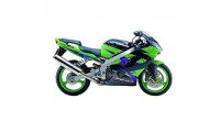 Meilleurs Carénage Kawasaki ZX9R 2002-2003