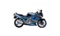 Meilleurs Carénage Kawasaki ZZR600 1998-2003