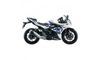 Meilleurs Carénage Suzuki GSX250R 2017-2020