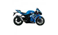 Meilleurs Carénage Suzuki GSXR 1000