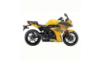 Meilleurs Carénage Yamaha FZ6R 2009-2015