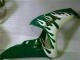 Carénages Moto Honda CBR1000RR 2006-2007 - Blanc Vert Flamme