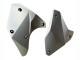 Carénages Moto Kawasaki Ninja H2 2015-2022 - Argent