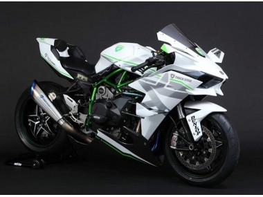 Meilleurs Carénages Moto Kawasaki Ninja H2 2015-2022 - Blanc Argent Vert