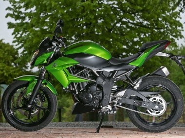 Meilleurs Carénages Moto Kawasaki Z250/Z300 2015-2016 - Vert Noir Mat