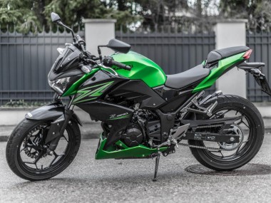 Meilleurs Kits Carénage Moto Kawasaki Z250/Z300 2015-2016 - Vert Noir Mat