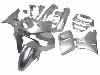 Meilleurs Carénages Moto Kawasaki ZZR600 1998-2003 - Argent