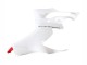 Carénages Moto Ducati Panigale V2 2020-2024 - Blanc Rouge Noir Mat