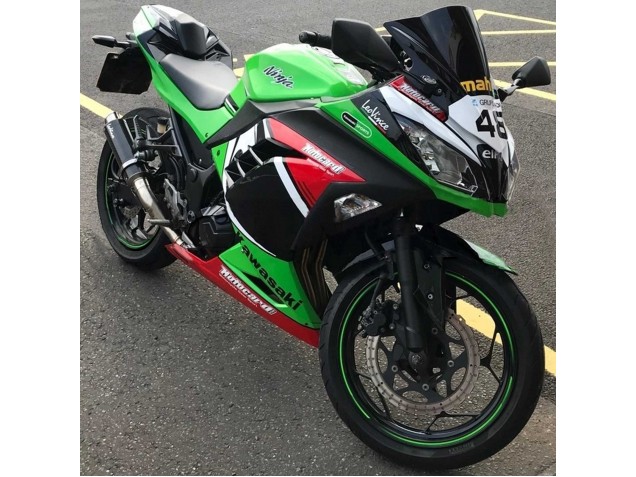 Carénages Moto Kawasaki EX300 2013-2017 - Vert Blanc Rouge Noir Elf