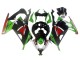 Carénages Moto Kawasaki EX300 2013-2017 - Vert Blanc Rouge Noir Elf