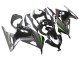 Carénages Moto Kawasaki EX300 2013-2017 - Noir Brillant Noir Mat Vert