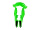 Carénages Moto Kawasaki EX300 2013-2017 - Vert Argent Noir