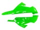 Carénages Moto Kawasaki EX300 2013-2017 - Vert Argent Noir