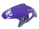 Carénages Moto Aprilia RS125 2006-2011 - Violet Vert Rouge