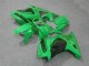 Carénages Moto Kawasaki EX250 2008-2012 - Vert Noir