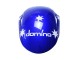 Carénages Moto Honda CBR1000RR 2008-2011 - Blanc Rouge Bleu Noir Star Lee Carrera