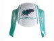 Carénages Moto Honda CBR600RR 2005-2006 - Vert Clair Blanc Noir Brillant Joe Rocket