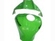 Carénages Moto Kawasaki ZX10R 2021-2026 - Vert Noir Brillant