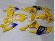 Carénages Moto Yamaha YZF 600 R6 2008-2016 - Jaune Bleu Chameau Motul Michelin