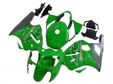 Meilleurs Carénages Moto Kawasaki ZX12R 2002-2006 - Vert Argent
